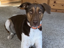 Remington