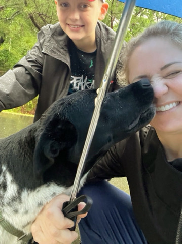 Australian Cattle Dog – New Home for Juno