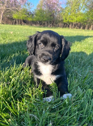 two months old