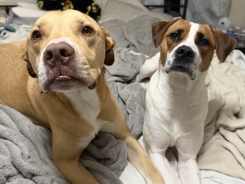 Bud & Dolly – Ponchatoula