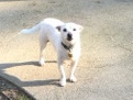 Jack could use a new home