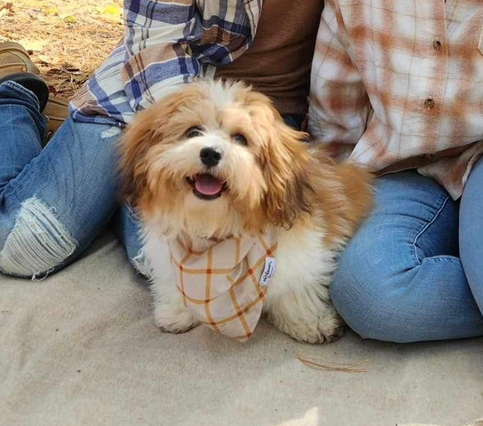 This is Peanut