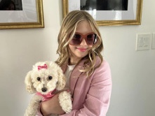 Poodle -  Teacup toy poodle available for adoption in Phoenix