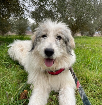 Em looking for a home