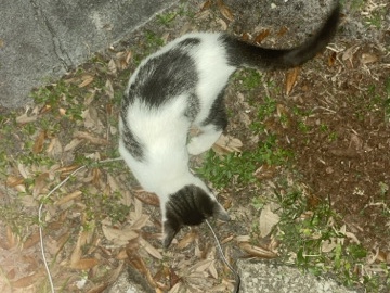 just wanna rehome for a baby – Lake Worth Beach