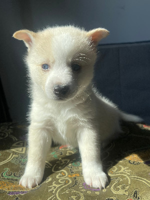 Bring aggon home with you.