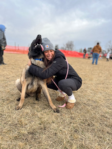 German Shepherd – Rehome REX
