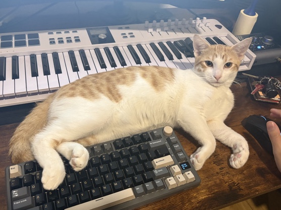 Oscar the Cuddle Bug – Gilbert