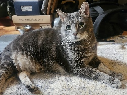 Sensitive Guy Needs A Special Home 