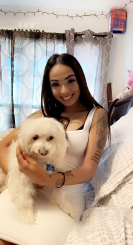 Poodle – New Home For MultiPood