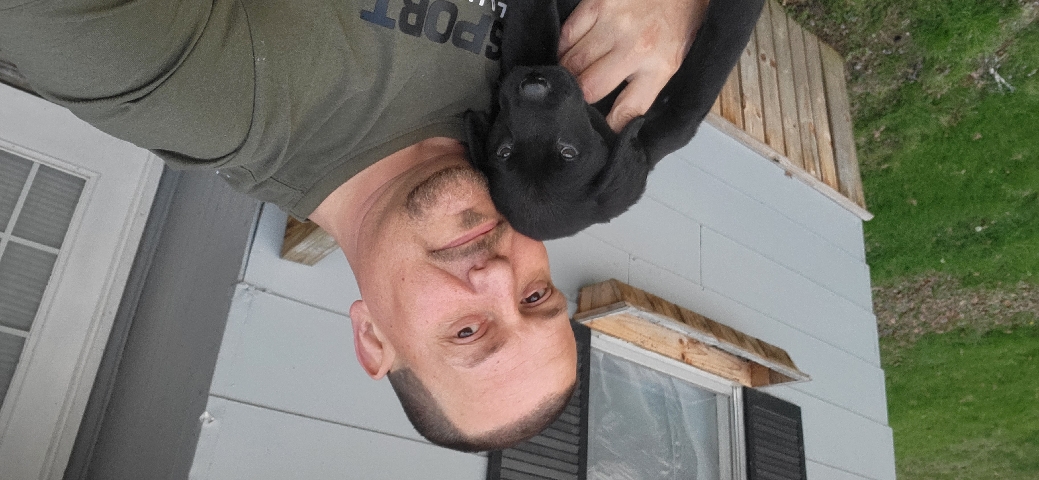 Labrador Retriever – AKC Registered Black Lab puppy