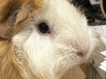 I need a new home!!!!