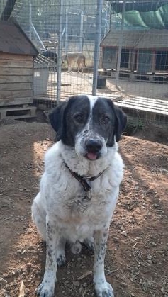 Tim looking for a home