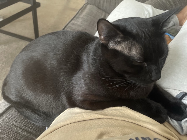 Looking for new home 