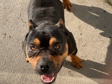 Onyx – Elizabeth City