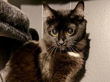 Ophelia – Fort Pierce