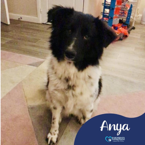 Anya