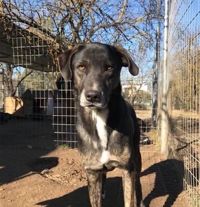 Ted looking for a home