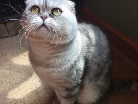 All the latest and greatest   ***