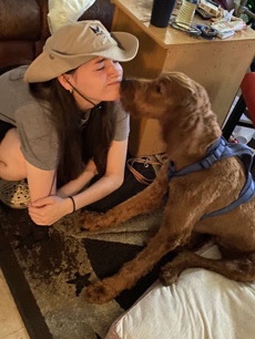 Golden Retriever – Cookie the goldendoodle