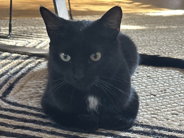 Neptune needs a new home – Ashland