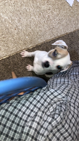 Billy – Billie
