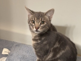 Fred – Winston Salem