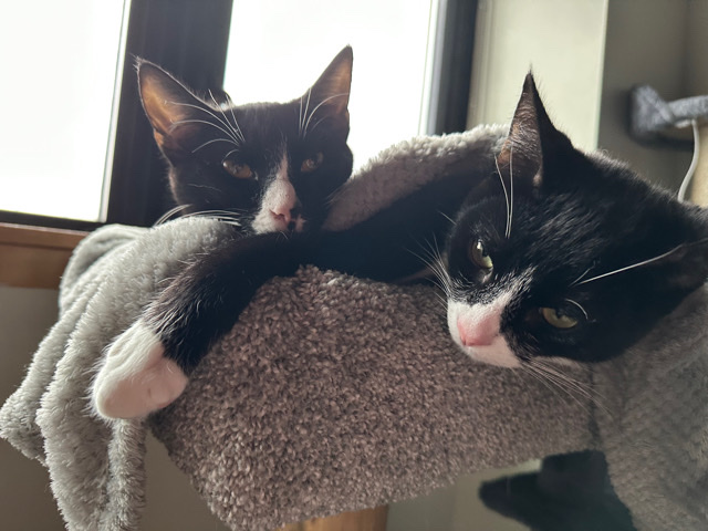 kali and lucifer