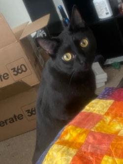 Salem