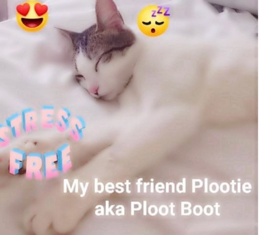 selling Plootie