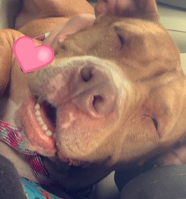 Nala