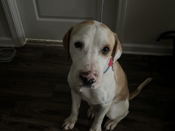 Rehome – Sawgrass