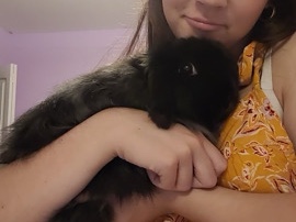 American Fuzzy Lop – Loving Boy Bunny for sale – Lyman