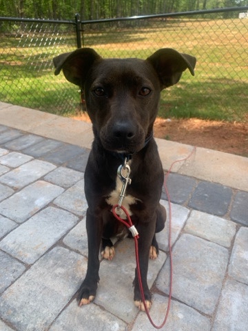 Tiana New Home🥰