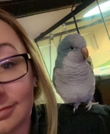 Quaker Parrot – Quaker Parrot