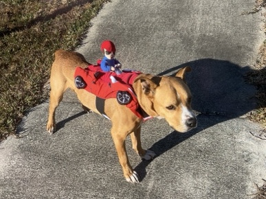 Enzo – Jacksonville