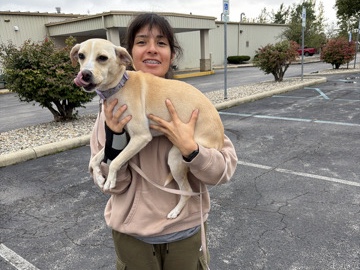 rehoming my puppy:( – Chattanooga