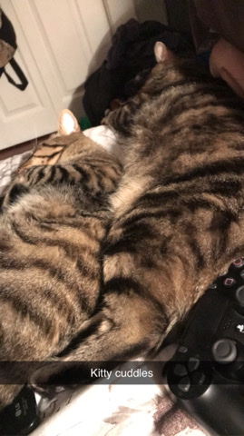 Needs home asap.
