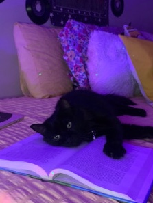 Salem
