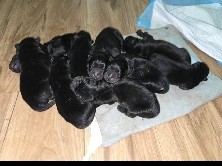 if interested call ***-0263 