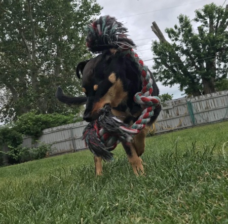 rehoming weenie :)
