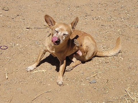 Marvin is looking for his furrever home ❤️