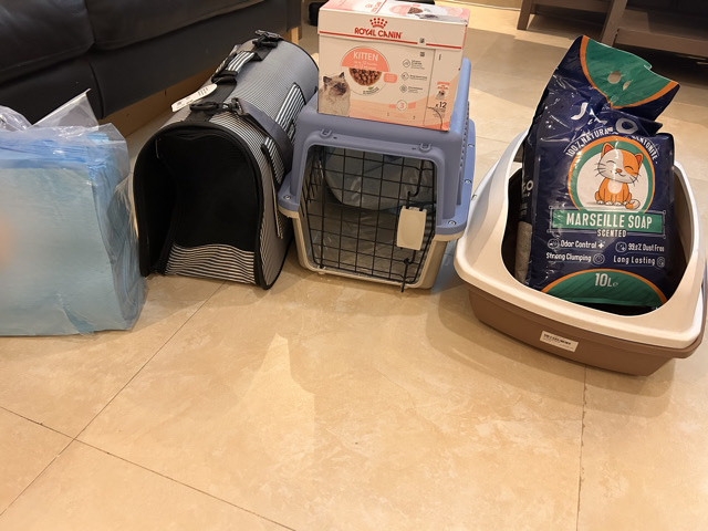 Others -  قط  مع أغراضه  للبيع  available for adoption in Riyadh