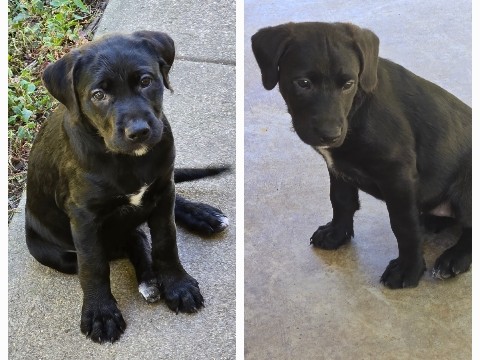 Need Homes ASAP