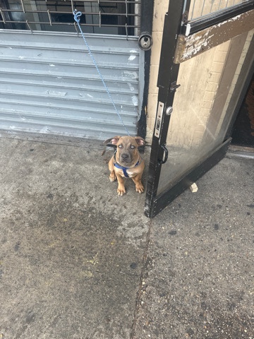 looking for a good home