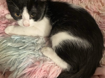 kitchen very beautiful and healthy