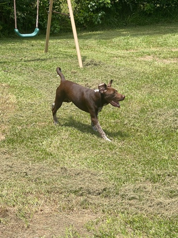 Lab and GSP