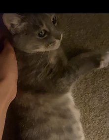 This is Ruby