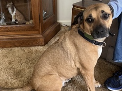Sophie – Manchester