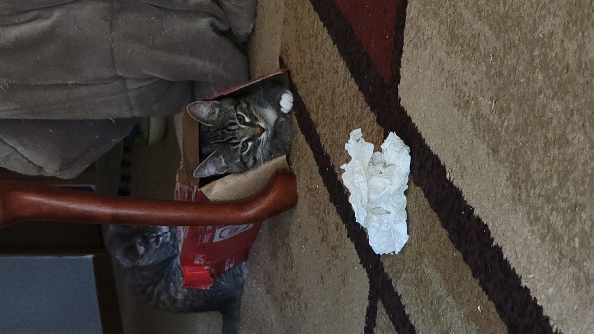 3 mo old Donnie